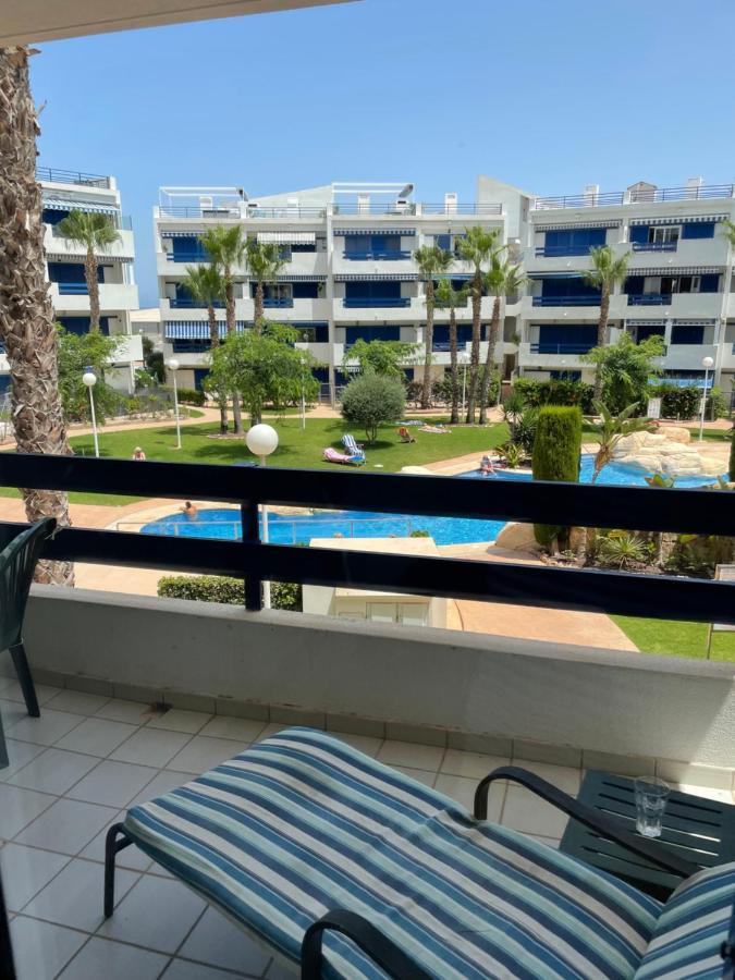 Apartmán Apartamento En La Calma Con Vistas A La Piscina Alicante Exteriér fotografie